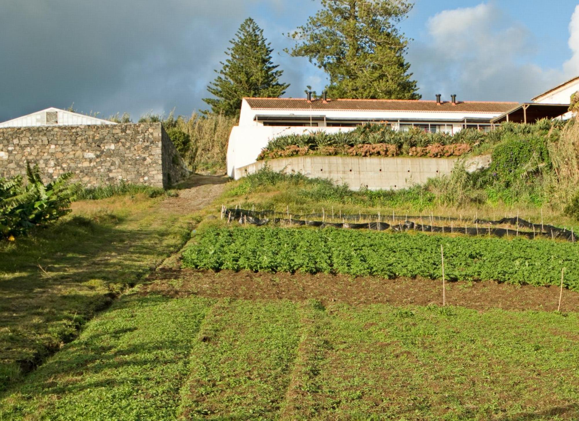 Villa Qva - Quinta Velha Das Amoreiras à Vila Franca do Campo Extérieur photo